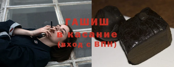 сатива Верея