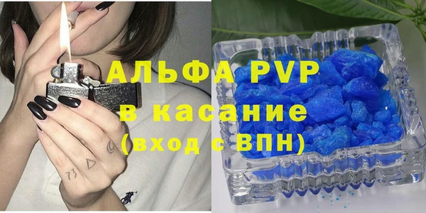 сатива Верея