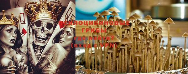 сатива Верея