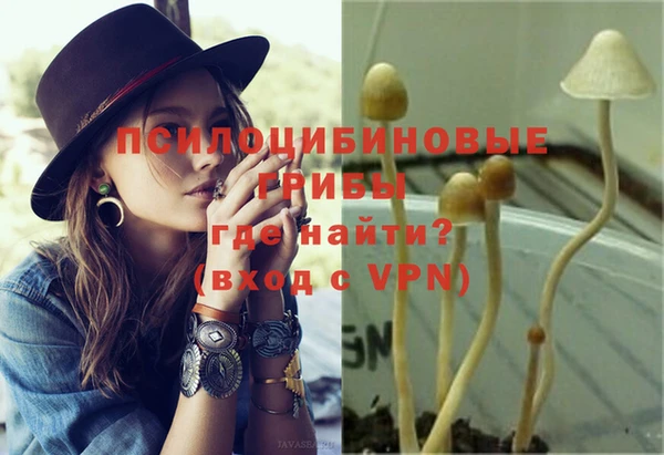 сатива Верея