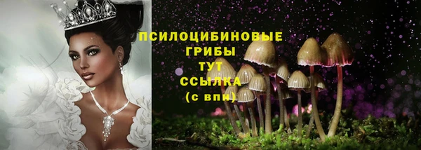 шишки Верхнеуральск