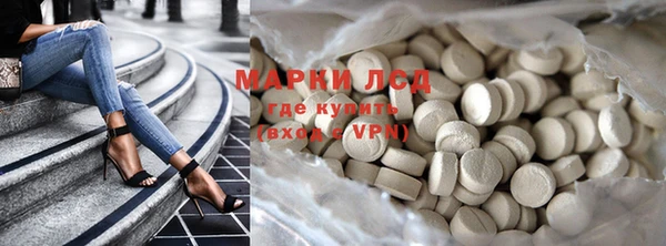 сатива Верея